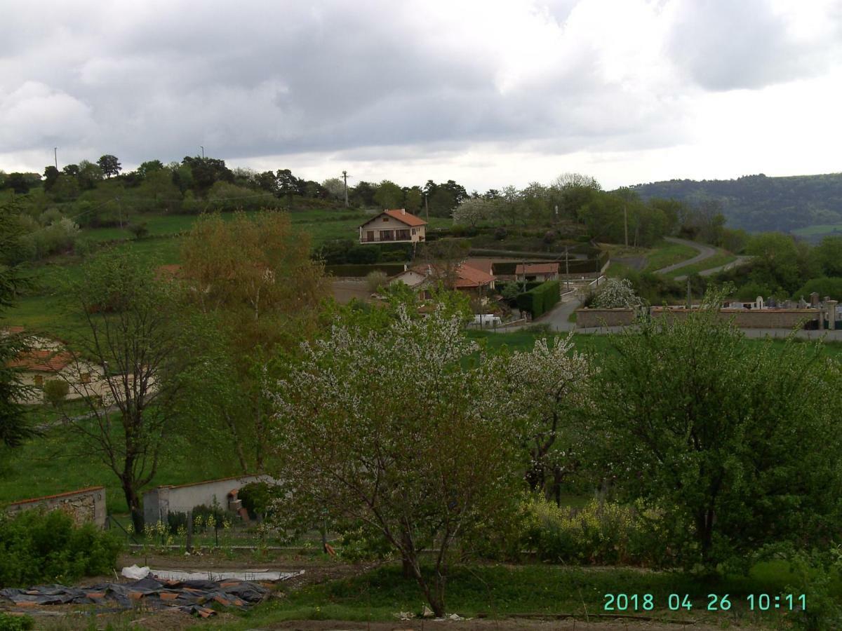Bed and Breakfast La Fontaine Saint-Georges-en-Couzan Exterior foto